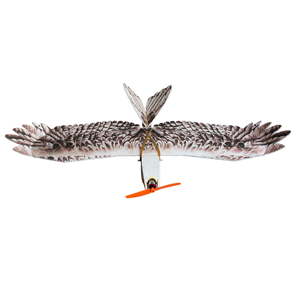 Dancing-Wings-Hobby-E15-Biomimetischer-Mini-Adler-mit-1200mm-Spannweite-aus-EPP-Schaum-RC-Segelflugz-1996760-3